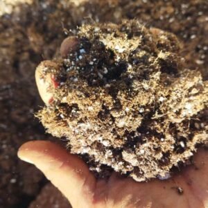 Mélange de tourbe blonde (85%) et perlite (15%), sacs de 10  kg