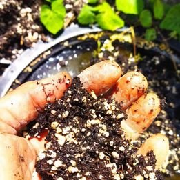 Mélange de tourbe blonde (85%) et perlite (15%), BALLE DE 125 LITRES